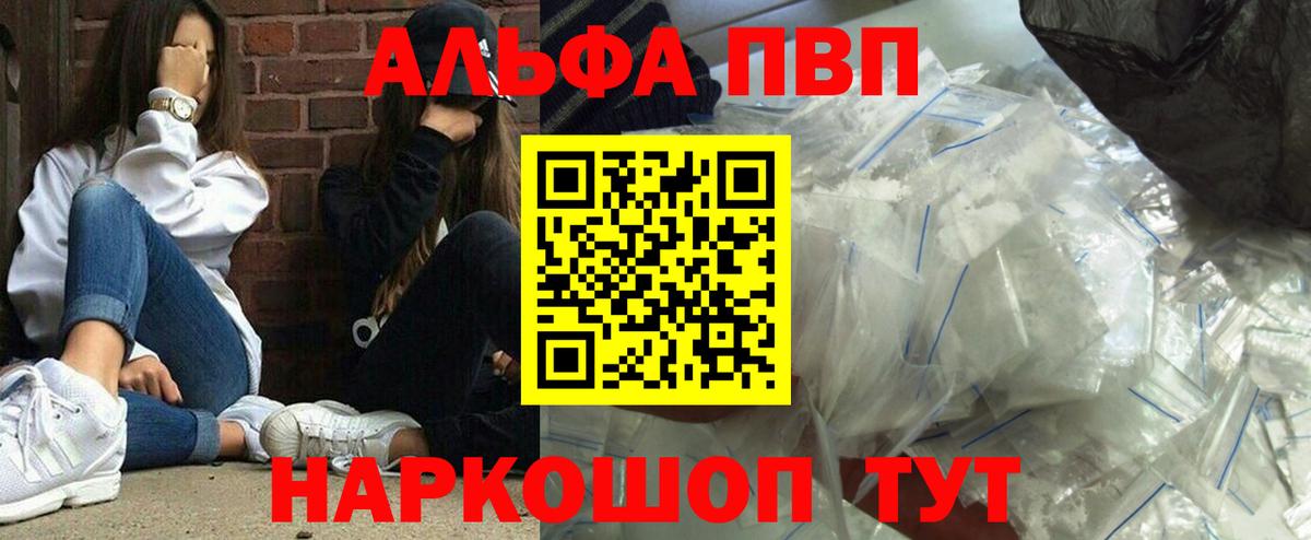 Alfa_PVP СК КРИС Гудермес