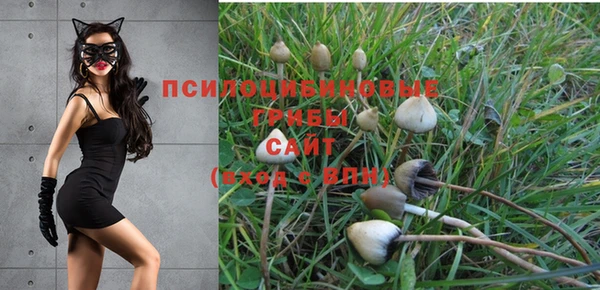 мяу мяу кристалл Богородицк