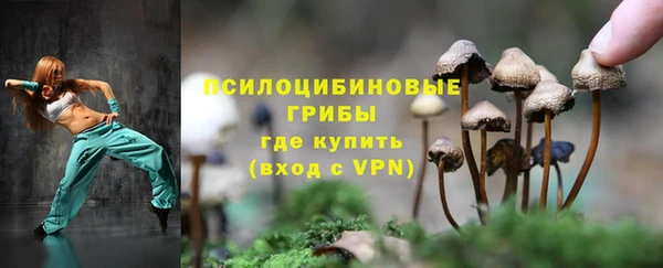 ALPHA PVP Богданович