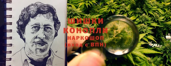 PSILOCYBIN Богородск