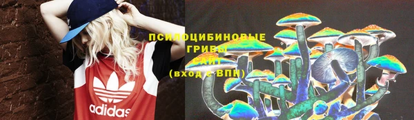 PSILOCYBIN Богородск
