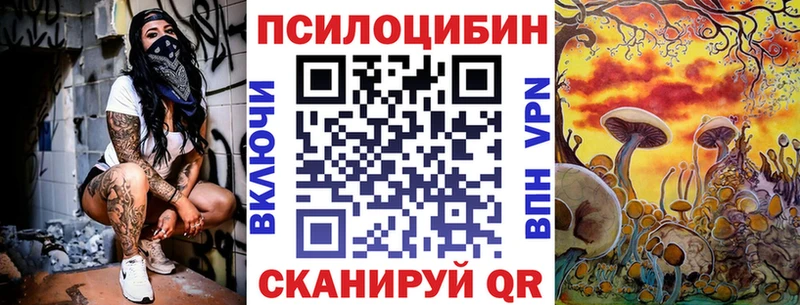 Псилоцибиновые грибы Psilocybe  omg ONION  площадка наркотические препараты  Гудермес 