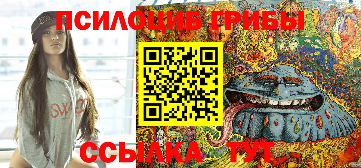 Псилоцибиновые грибы прущие грибы  Вход с VPN  Псилоцибиновые грибы Psilocybine cubensis  Гудермес 